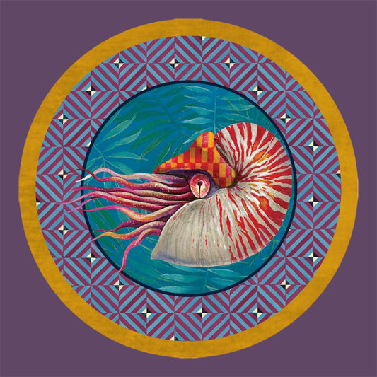 Collezione Metamorfosi - nautilus