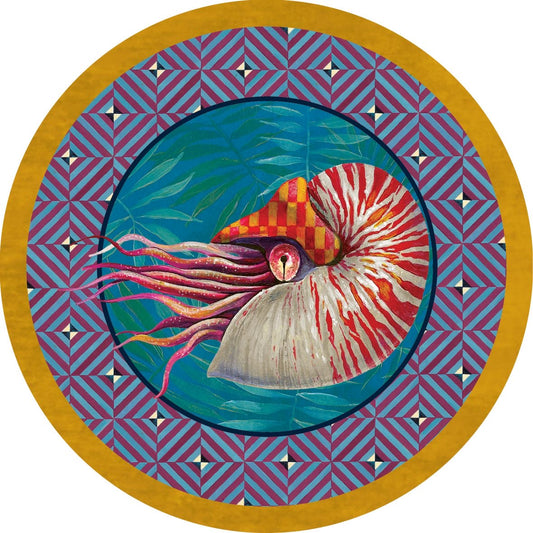 Collezione Metamorfosi - nautilus