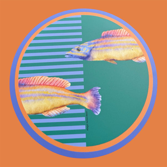 Collezione In fondo al mar - pesce pavone
