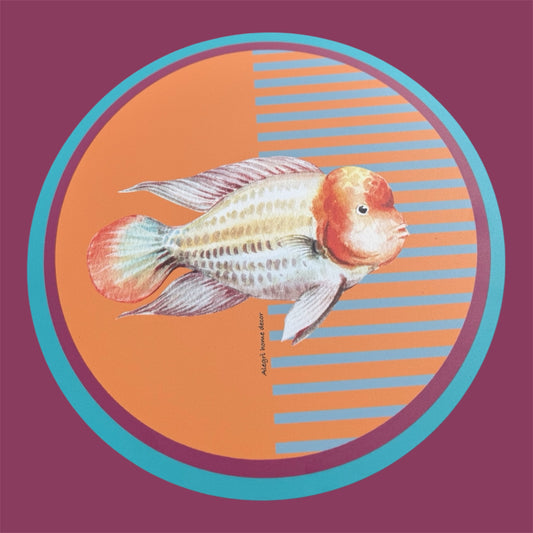 Collezione In fondo al mar- pesce napoleone